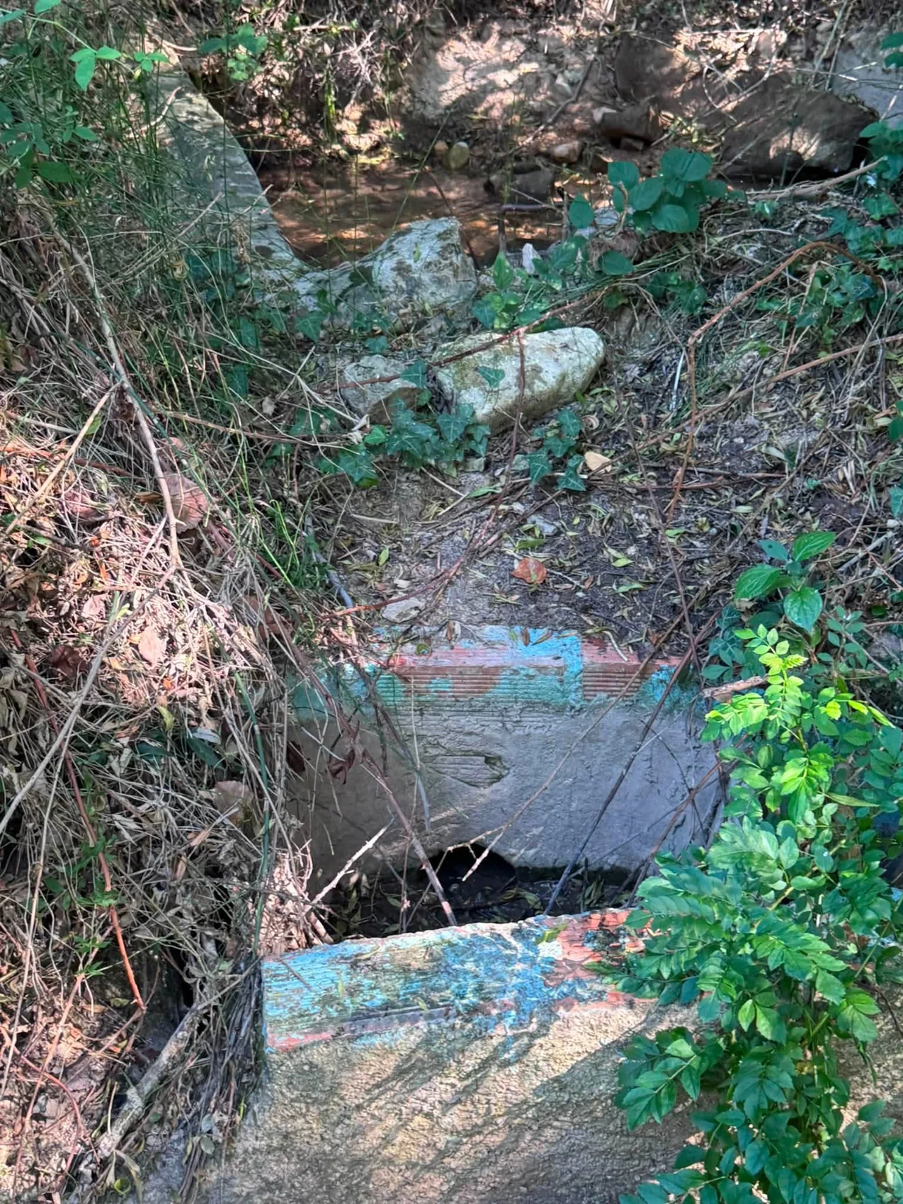 Additional property photo